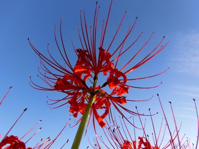 201110011708