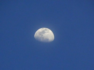 20100224moon