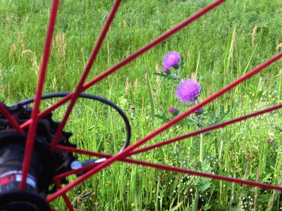 201205041701a
