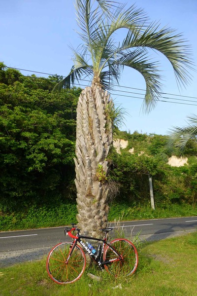 201405031716