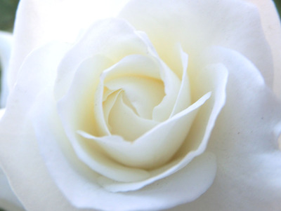 201205041847