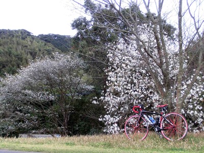201203221606