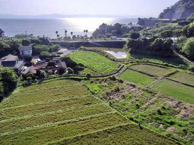 201104291643