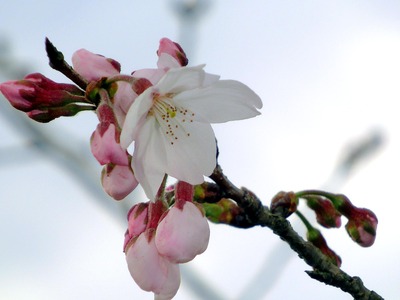 201203221609