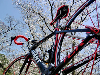 201103261336