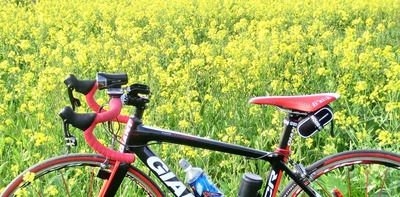 201203221640