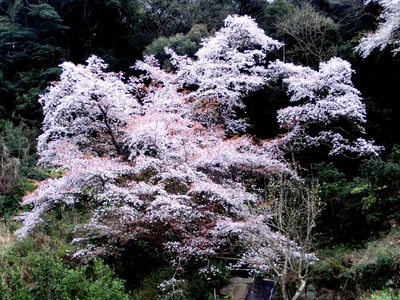 201203221507