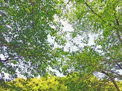 201304281404b