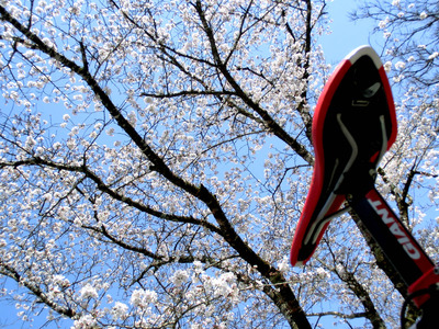 201103261339