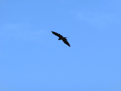 201110011503
