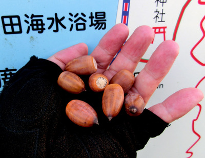 201110011721a
