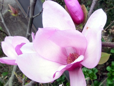201203221510