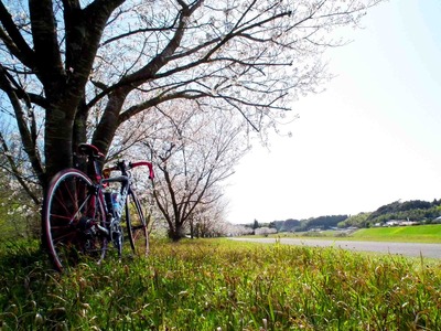 201204011356