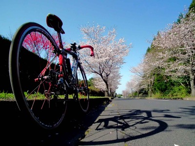 201204011545