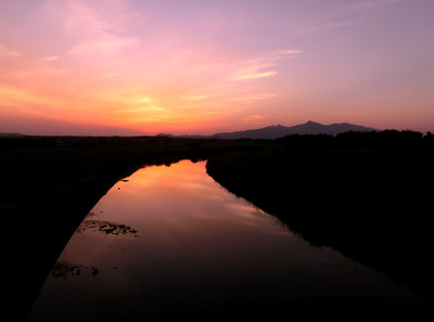 201104291853