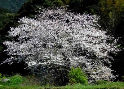 201204011423