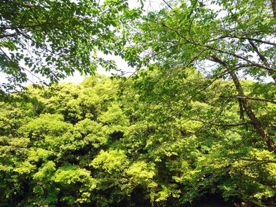 201304281404