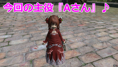 ffxiv diary1215