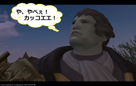 ffxiv sky20