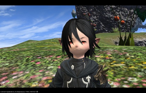 ffxiv sky547