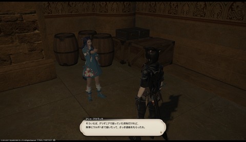 ffxiv sq337