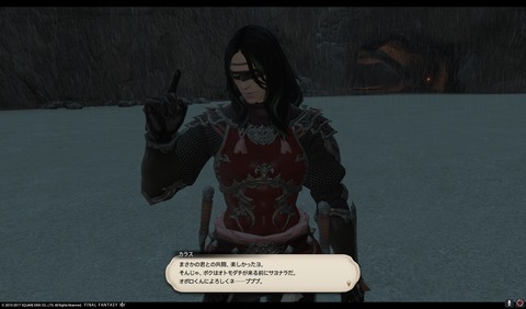ffxiv nin502