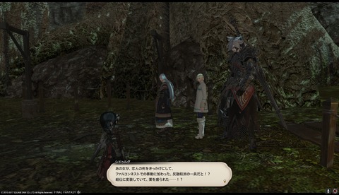 ffxiv drk958