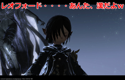 ffxiv sky491