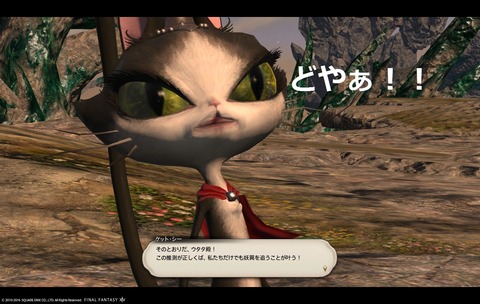 ffxiv sky235