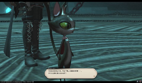 ffxiv sky293