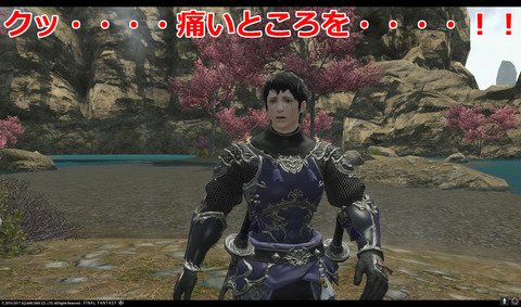 ffxiv nin405