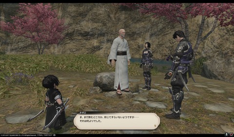 ffxiv nin418