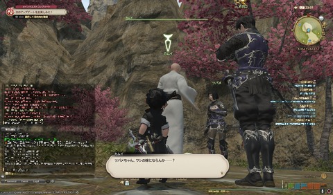 ffxiv nin414