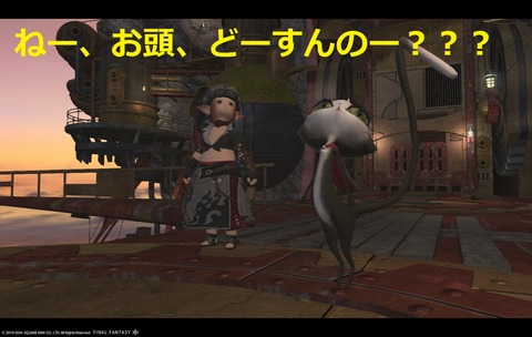 ffxiv sky254