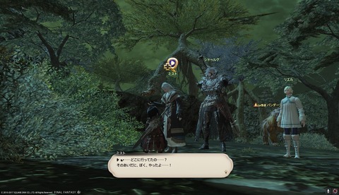 ffxiv drk981