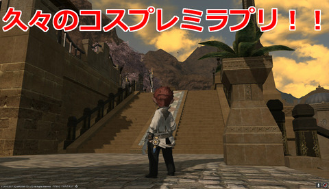 ffxiv diary1375