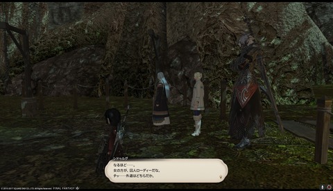 ffxiv drk955