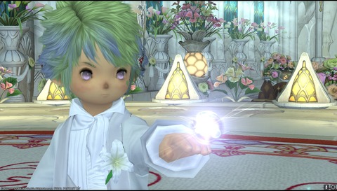 ffxiv diary1165