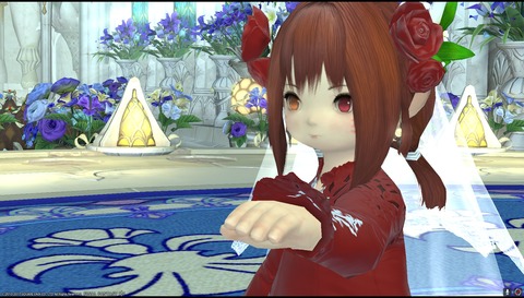 ffxiv diary1233