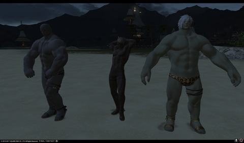 ffxiv sq498