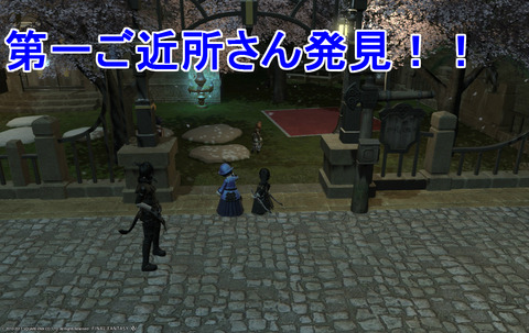 ffxiv diary976
