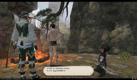 ffxiv nin368