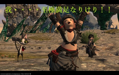 ffxiv sky220