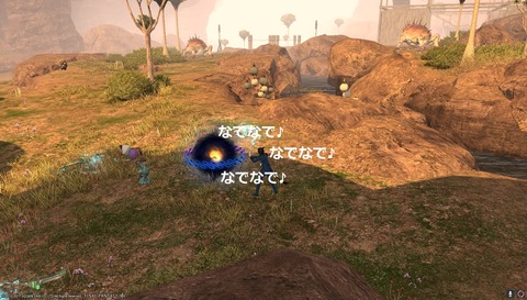 ffxiv sq509