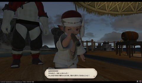 ffxiv sq494