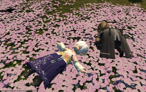 ffxiv diary1194