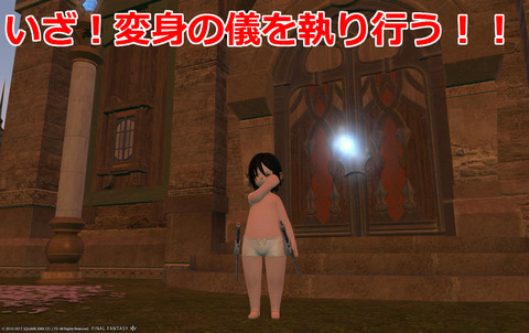 ffxiv diary988