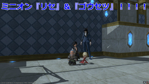 ffxiv sq561