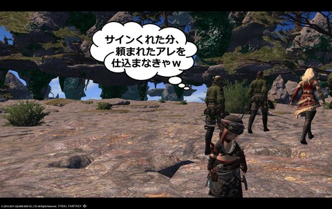 ffxiv sky161