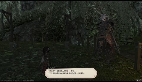ffxiv drk968